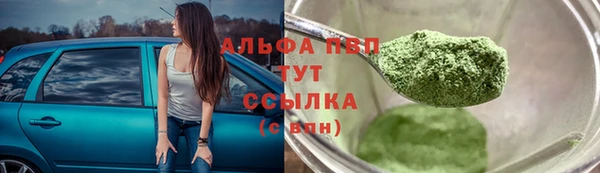 spice Вяземский