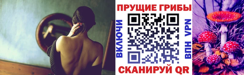 гидра онион  купить наркотики цена  Когалым  Псилоцибиновые грибы Psilocybine cubensis 